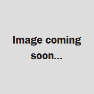 image coming soon